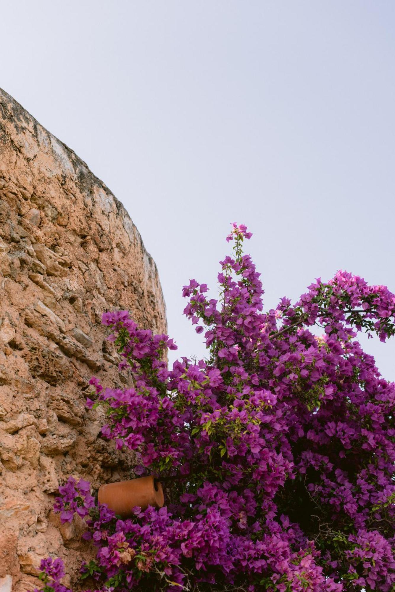 Can Quince Balafia Ibiza Hotel - Turismo De Interior Sant Llorenc de Balafia Eksteriør bilde